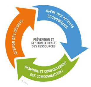 Prévention et gestion efficace des ressources : Offre des acteurs économiques, Demande et comportement des consommateurs, gestion des déchets. Schéma par l'ADEME.